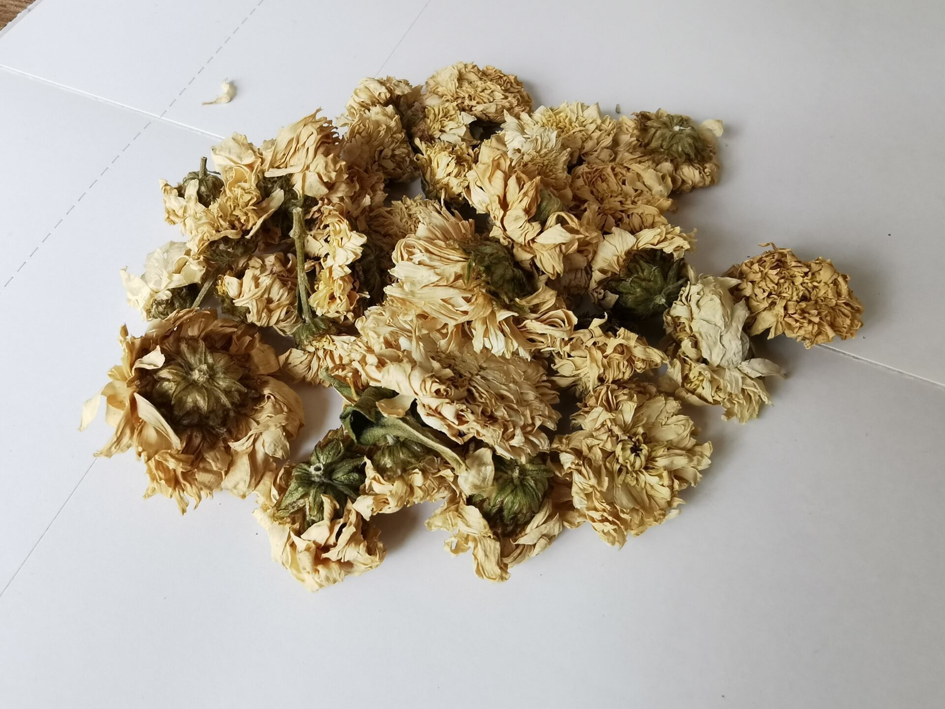 金丝皇菊菊花茶黄菊新货贡菊大黄金菊白贡菊散装七月菊500g克包邮