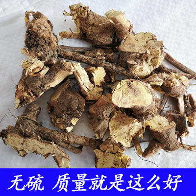 掌牛郎根中草药广西排钱树根头