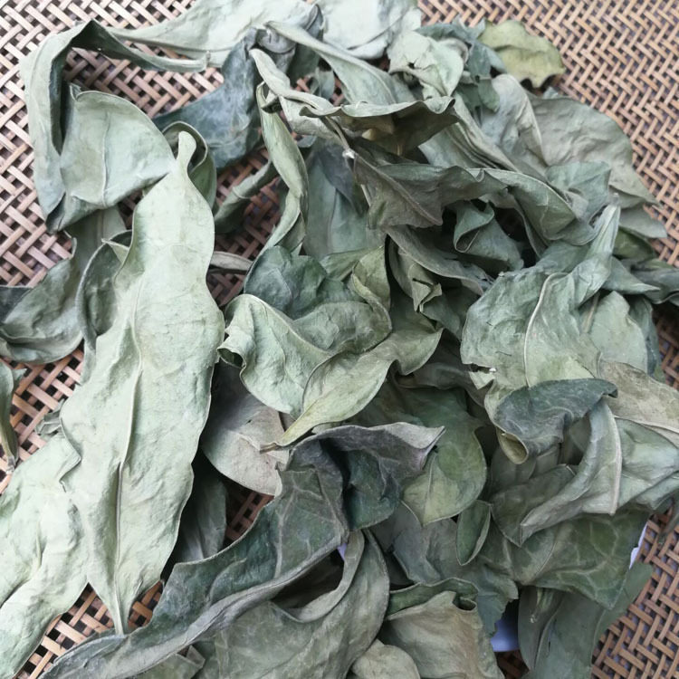 龙利叶中药材店铺龙俐叶龙舌叶龙力叶牛耳叶广西草药新鲜500g克