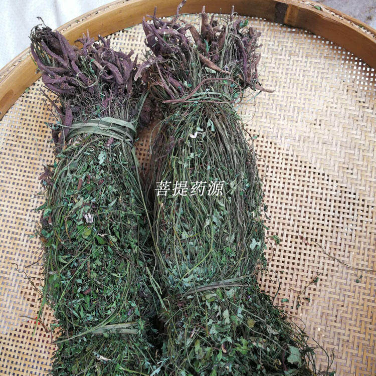 岩黄连岩黄莲岩胡中药材500克 土黄连岩连新鲜干货毛黄菊花黄连