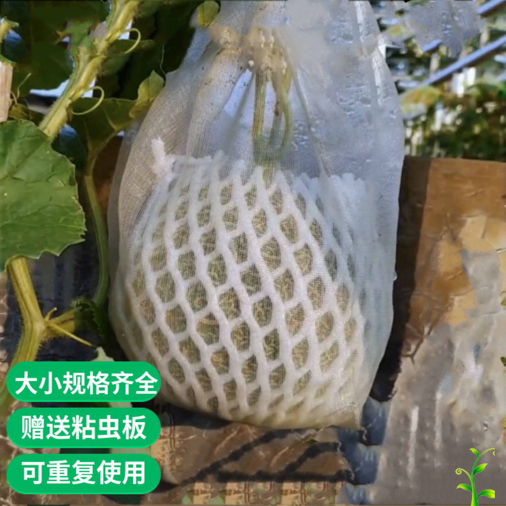 水果防鸟番荔枝泡沫网套