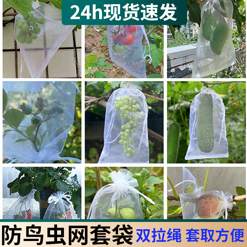 水果套袋果树防鸟防虫网袋葡萄无花果番石榴保护枇杷桃子袋子青瓜