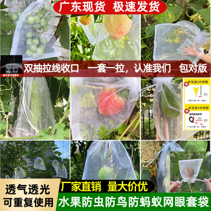 水果套袋防鸟防虫专用网袋西红柿番茄葡萄草莓无花果尼龙套袋保护