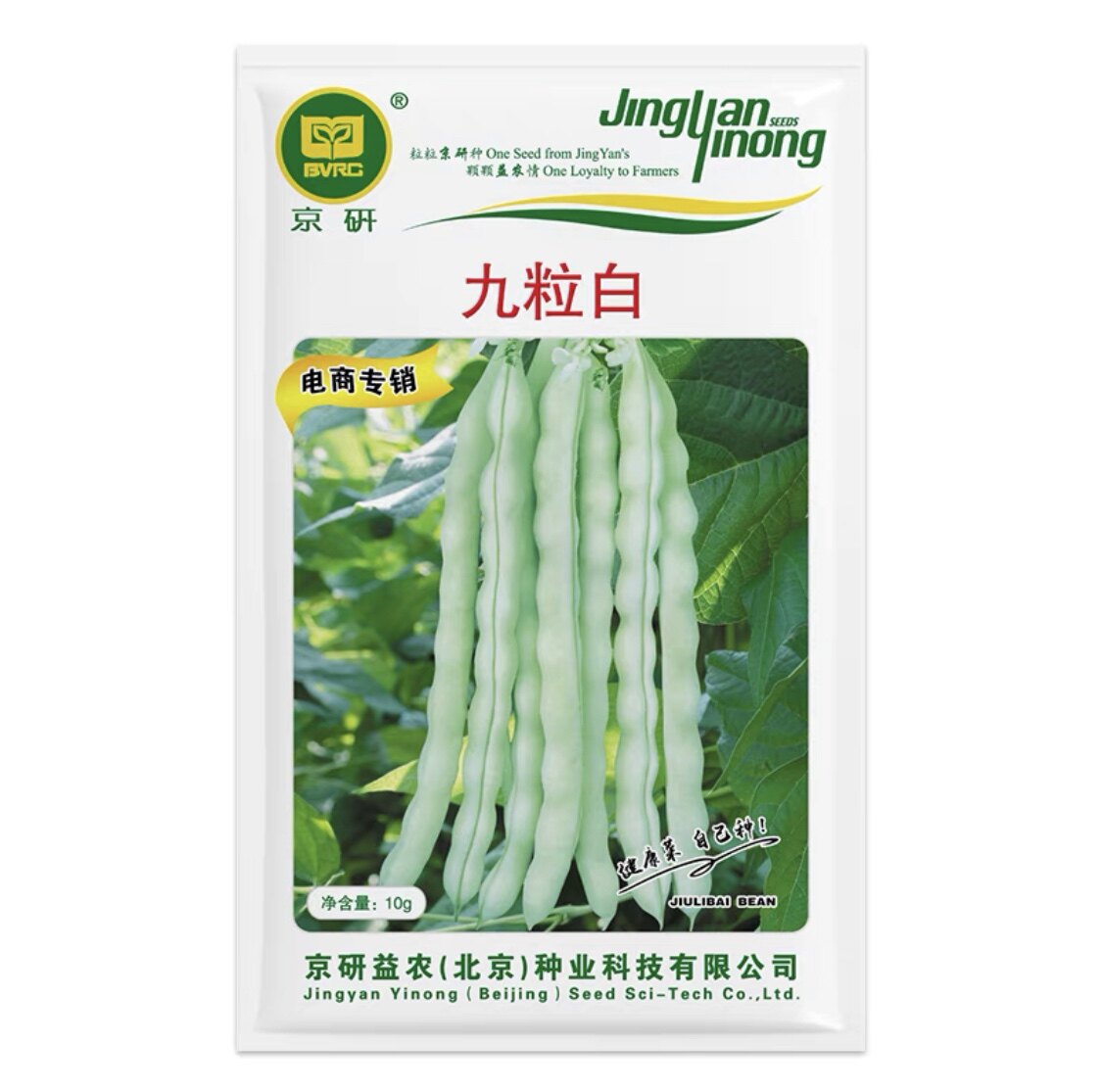 九粒白 四季豆种子中国北京京研农科院架豆芸豆蔬菜种籽精豆米