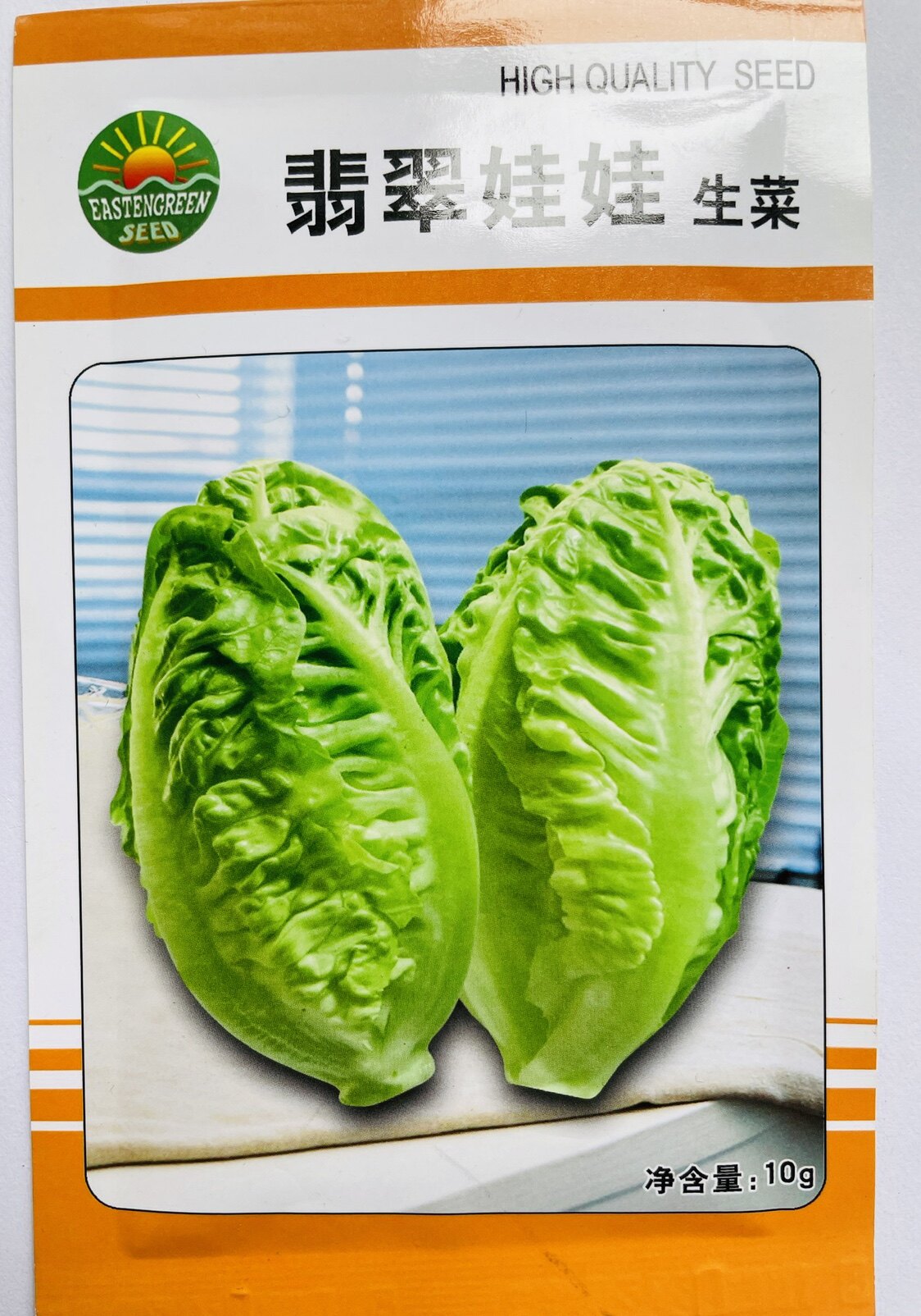 翡翠娃娃生菜种子四季播翠绿色结球生菜 速生无纤维沙拉种子10g