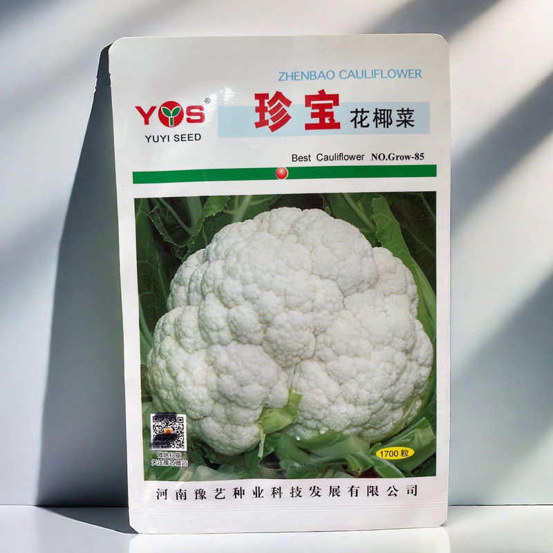 珍宝花椰菜种子 紧花菜种子 抗病耐储菜花蘑菇形白菜花种子10g