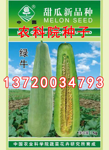 绿牛薄皮甜瓜种子 长牛角特甜香瓜羊角蜜北京农科院种子中蔬5g