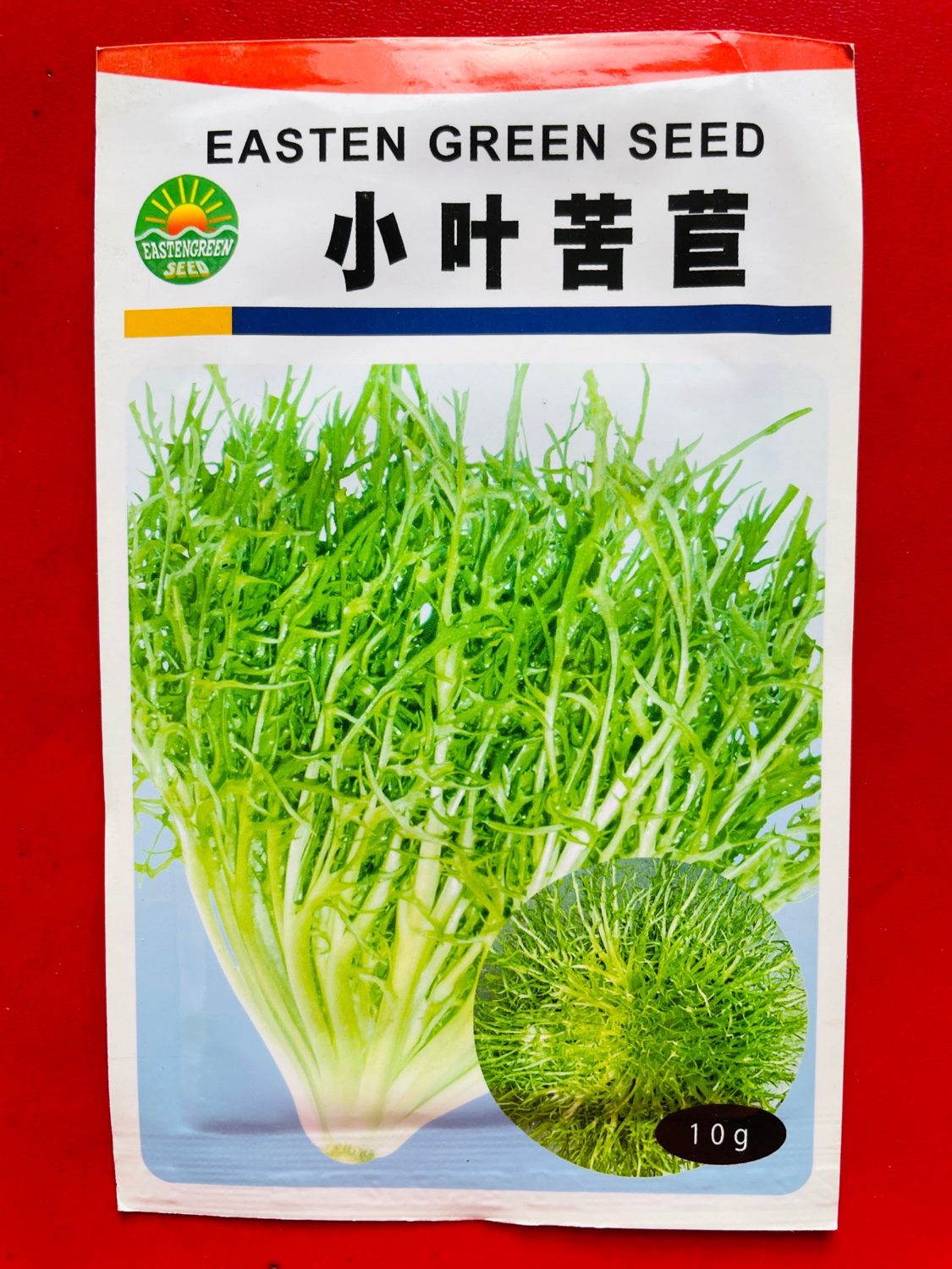 小叶苦苣/凉菜种子阳台盆栽蔬菜种子室内花草10g