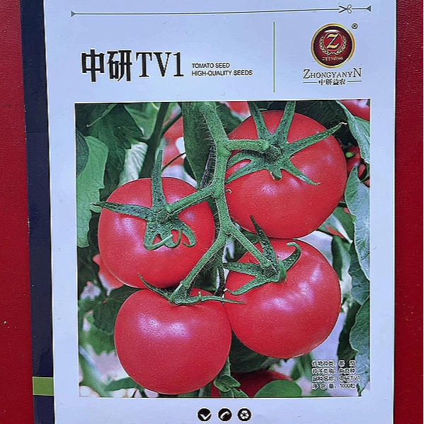中研TV1粉果番茄种子抗TY线虫花叶黄萎枯萎耐低温冬春西红柿种子