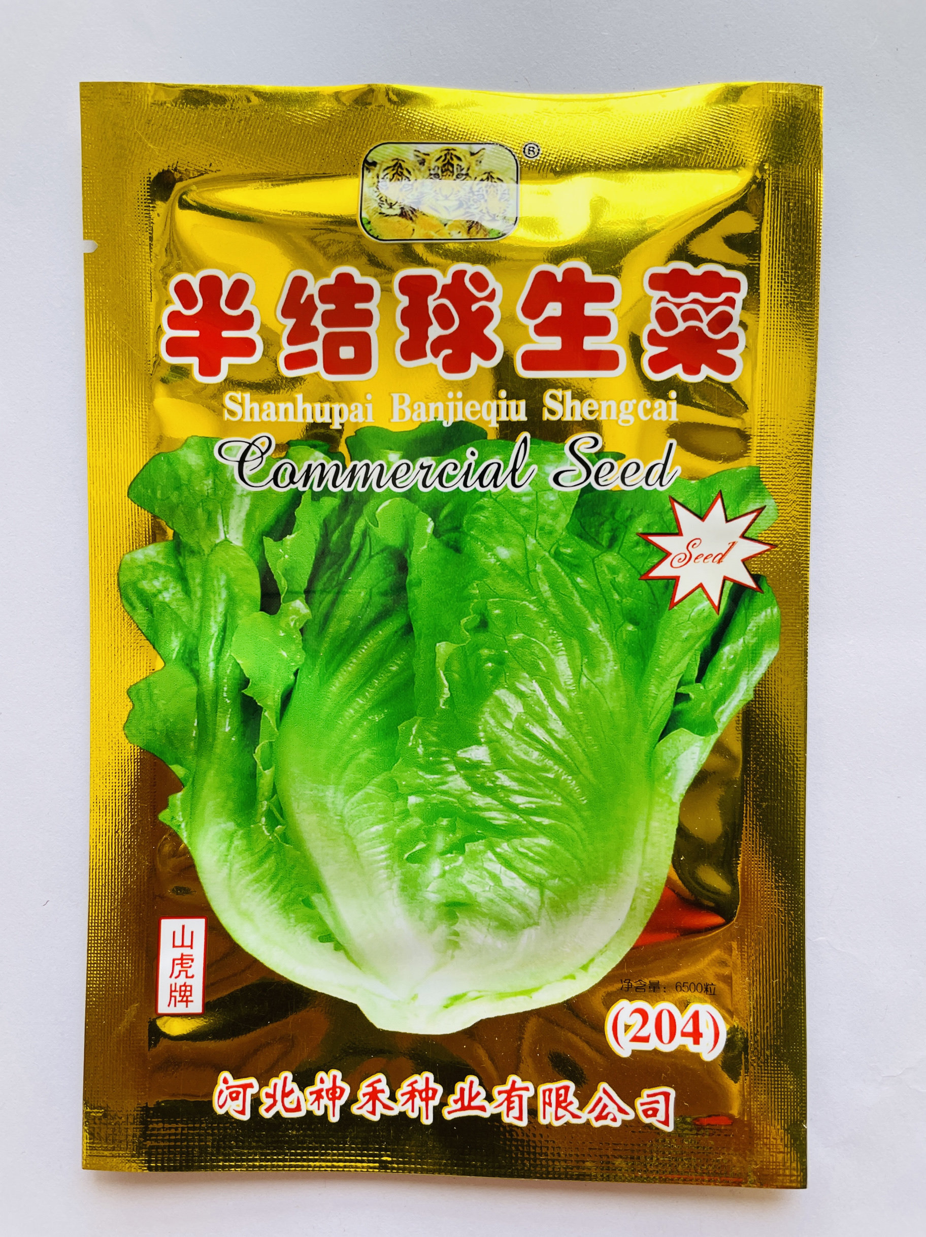 半结球生菜意大利全年耐抽苔生菜种子耐热耐寒肯德基蔬菜种子