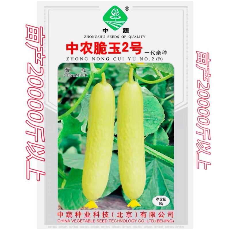 中农脆玉2号水果黄瓜种子  高产早春秋冬保护地蔬菜种子中蔬10g