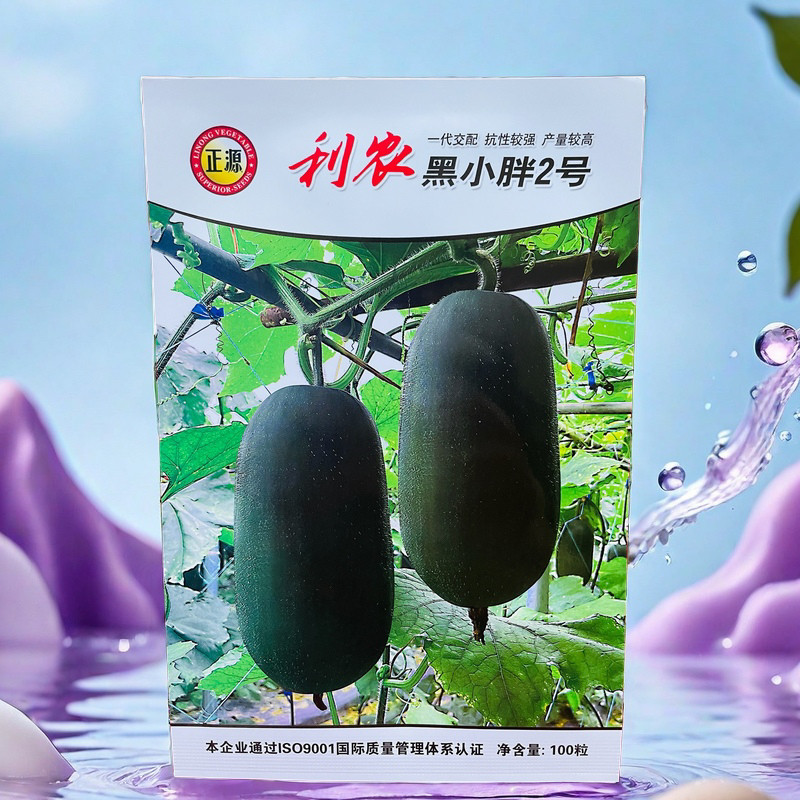 和利农黑小胖二号 黑皮迷你小冬瓜种子 早中熟 抗病 蔬菜种