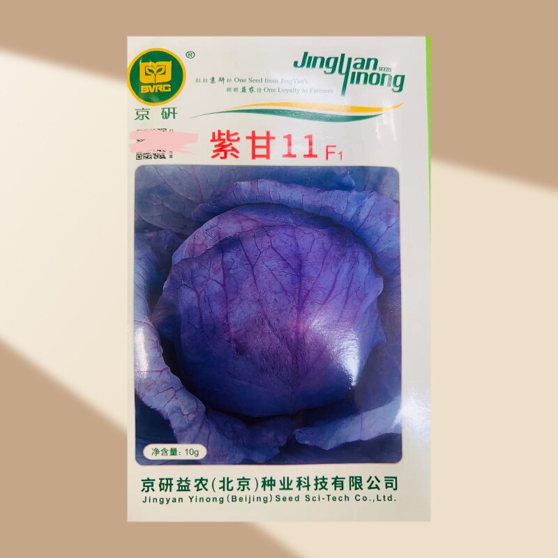 紫甘11农科院紫甘蓝种子 包菜 卷心菜 圆白菜蔬菜种子京研10g