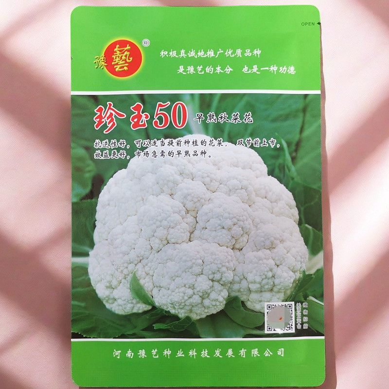 豫艺珍玉50菜花种子 早熟耐热球白抗病高产秋花菜花椰菜紧花菜种