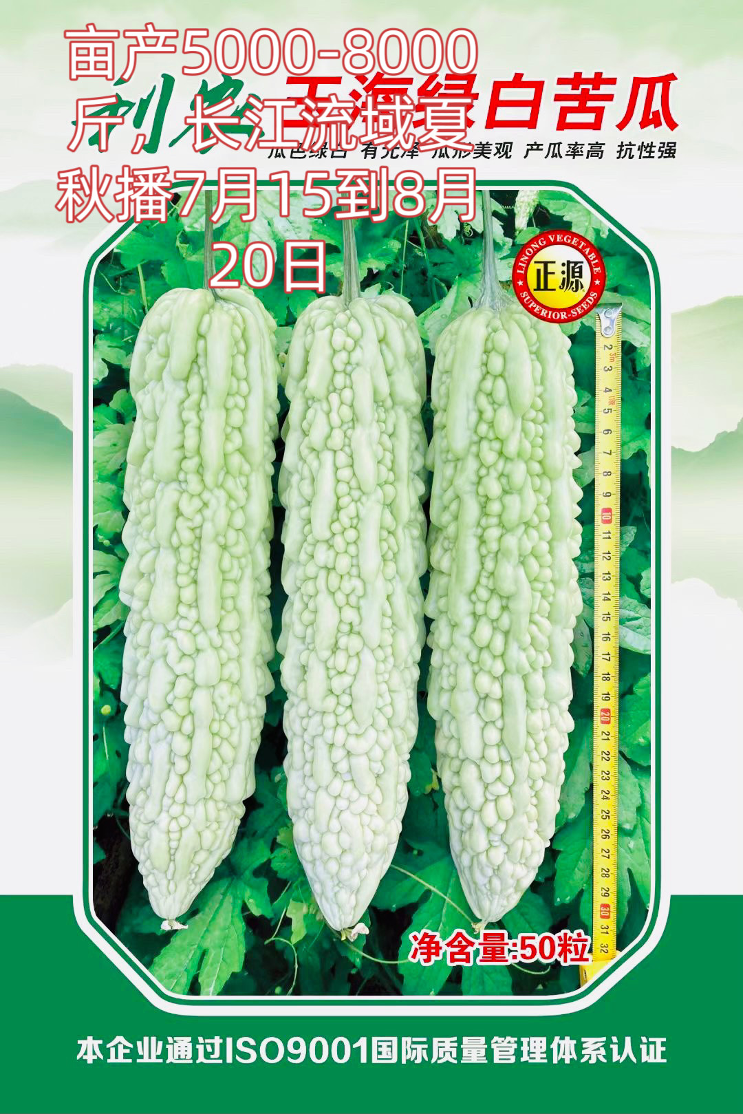玉海绿白苦瓜种子 抗重茬 高产 抗病耐热苦瓜种 春秋播蔬菜种子