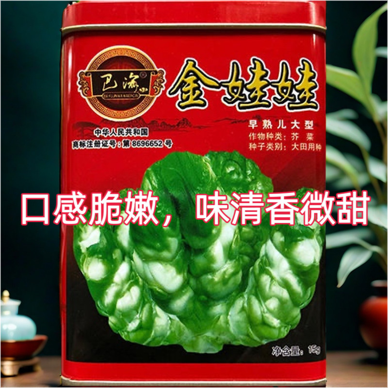 金娃娃儿菜种子 重庆早熟丰产儿菜种子娃娃菜种子秋播蔬菜籽15g