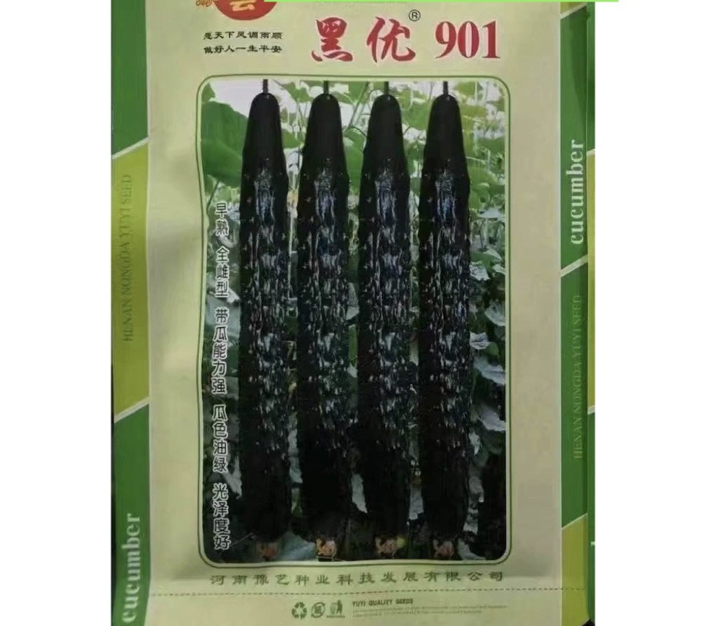 豫艺黑优901黄瓜种子 全雌早熟一叶一瓜油亮绿心黄瓜种籽20g