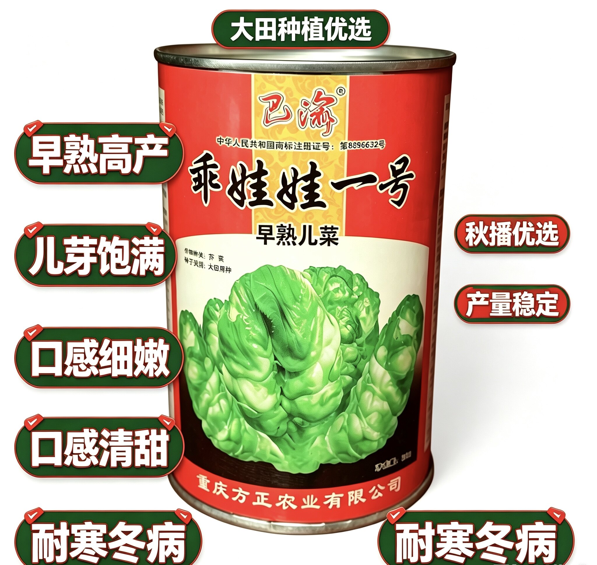 乖娃娃一号儿菜种子 秋季四川极早熟娃儿菜种子重庆娃娃菜芥菜种