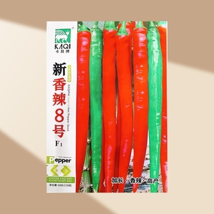 新香辣8号辣椒种子 皮薄辣味浓中早熟高产抗病耐热耐雨水蔬菜种子
