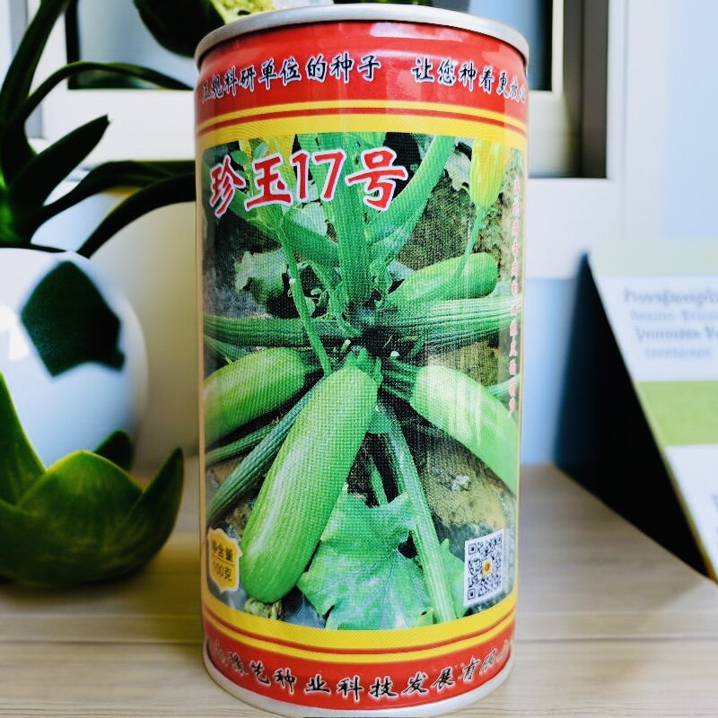 珍玉17号笋瓜中早熟西葫芦种子 春秋露地抗性强高产蔬菜籽100g