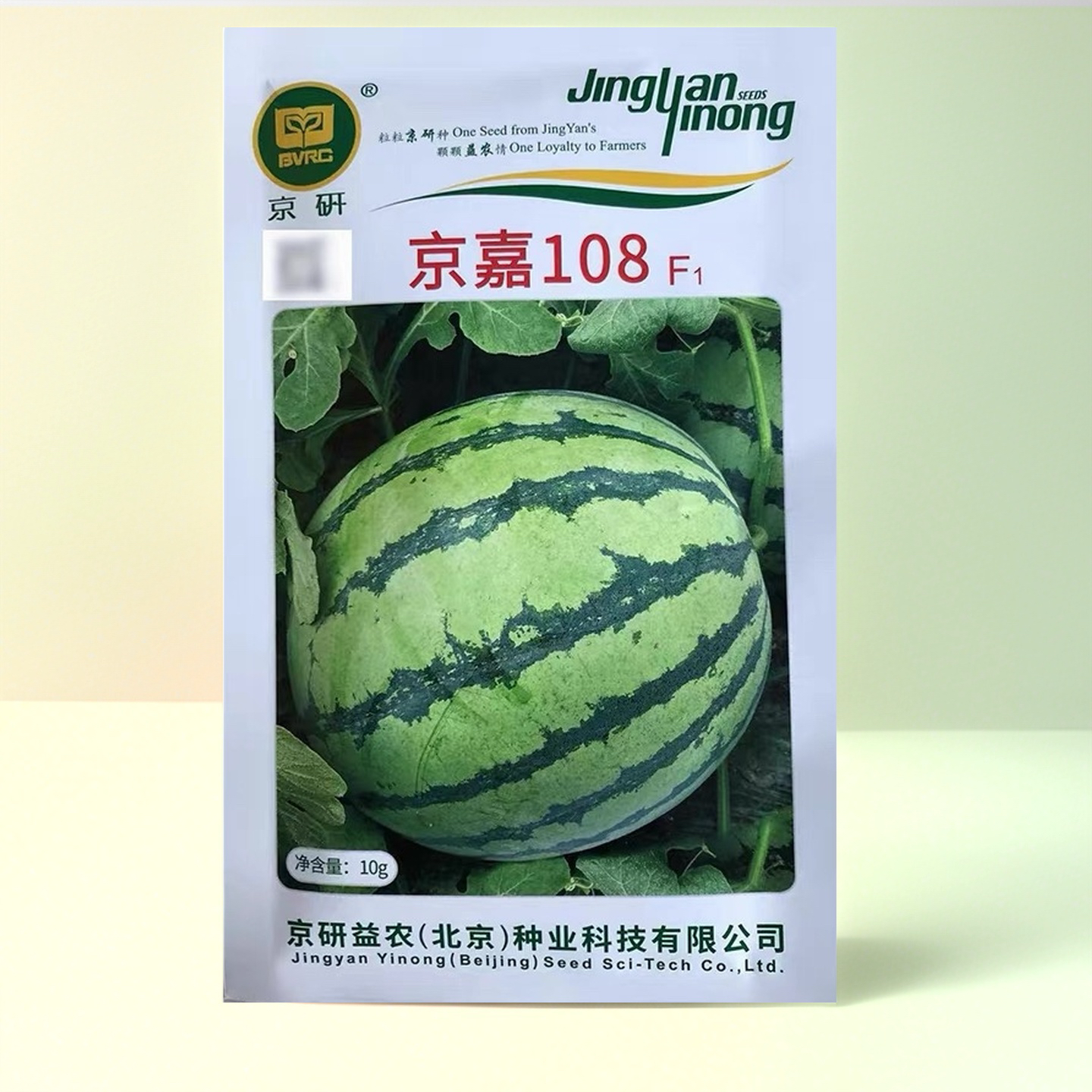 京嘉108西瓜种子 圆形红瓤脆嫩口感好不易空心脱水耐裂春播水果籽