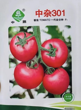 中杂301粉果番茄种子 早春保护地抗病TY西红柿 农科院种子中蔬5g