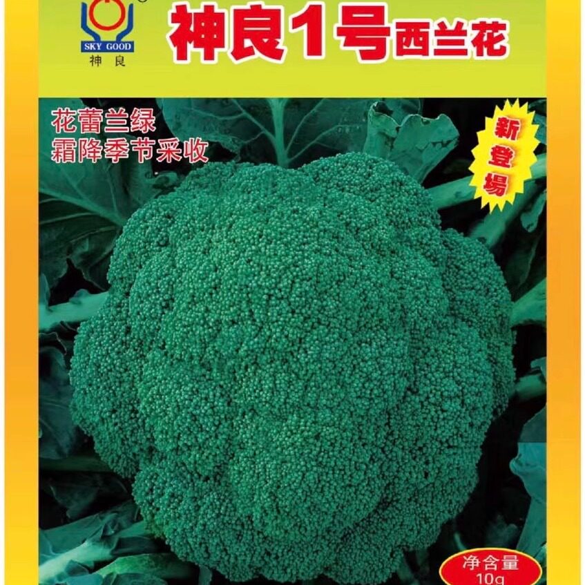 神良1号西蓝花种子 早熟65天耐低温 花蕾细 花菜种子10g