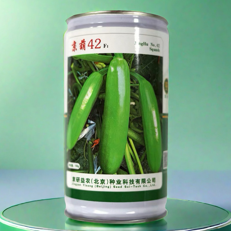 京葫42西葫芦种子 秋冬栽培早熟耐寒西葫芦籽 越冬耐病毒病白粉病