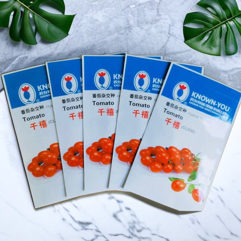 千禧番茄海南正品台湾进口/红樱桃小番茄种子粉红色圣女果种子5g