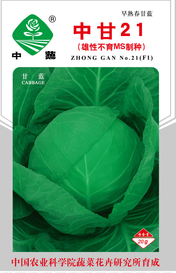 中甘21/雄性不育早熟春甘蓝冬性强中国农科院蔬菜种子中蔬20g
