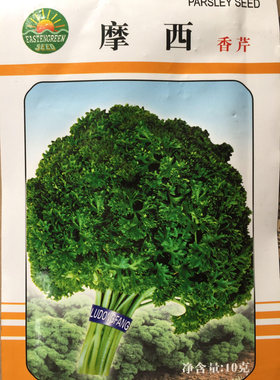 摩西香芹种子西餐香料欧芹法国香菜荷兰芹蔬菜种子10g