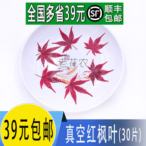 摆盘装饰四季有货真空红枫叶
