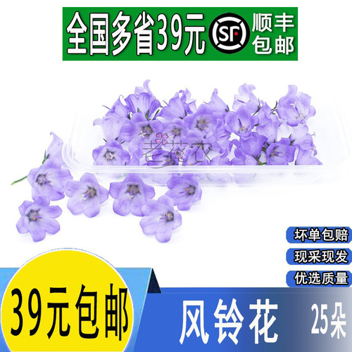 酒店摆盘花草装饰点缀花草