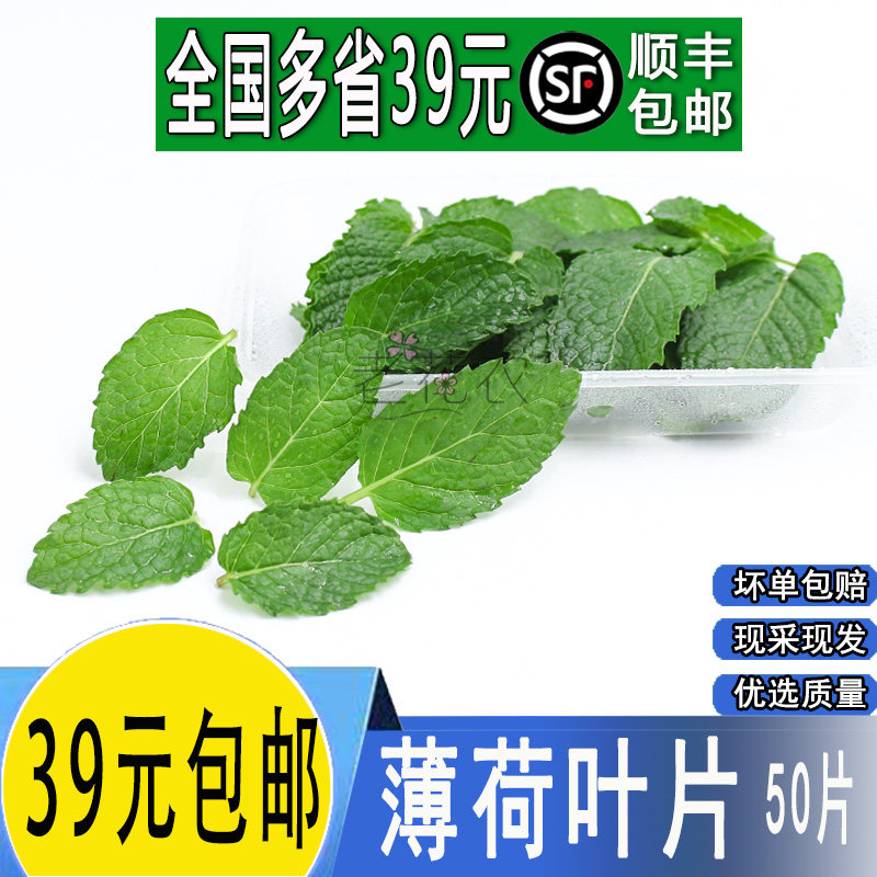 新鲜清凉薄荷叶片芽鸡尾酒调酒泡水装饰茶饮西餐蛋糕摆盘花草点缀,水产肉类/新鲜蔬果/熟食,其它,淘宝优惠券,粉丝福利购,淘宝优惠卷