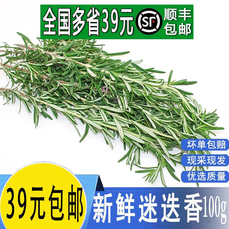 新鲜迷迭香牛排香料西餐食用食材罗勒叶香茅调味烧烤烘焙装饰摆盘