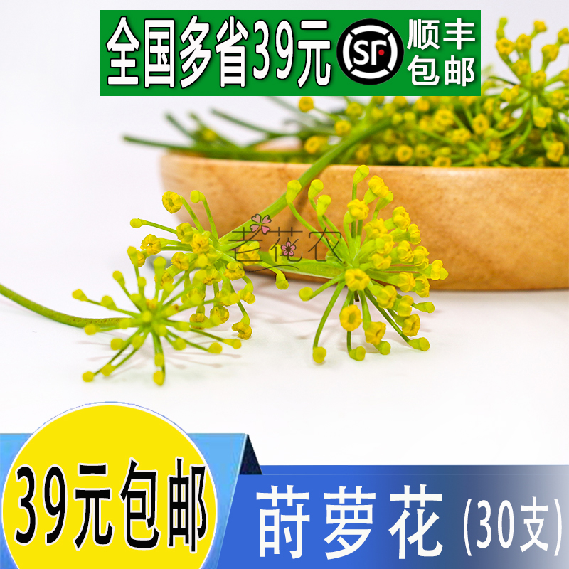 新鲜花草 莳萝花 茴香花酒店西餐日料冷艺烘焙摆盘装饰点缀