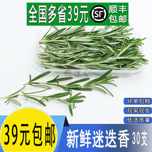 西餐烘焙蛋糕鸡尾酒装 新鲜迷迭香 饰花草 非百里香 盒 嫩绿 30根
