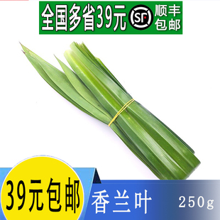 新鲜香兰叶斑斓叶千层蛋糕芒果冷饮糯米饭甲抛叶泰国香料250g