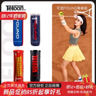 天龙网球P4P3胶罐比赛训练球Q1铁罐高弹耐磨专业POUND人气网球