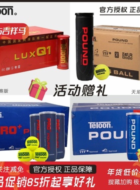 天龙网球P4P3胶罐比赛训练球Q1铁罐高弹耐磨专业POUND人气网球