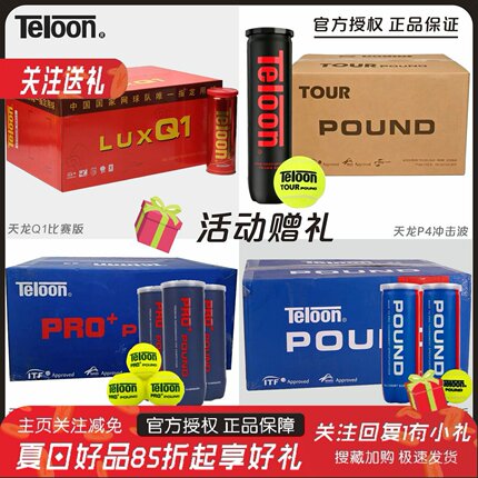 天龙网球P4P3胶罐比赛训练球Q1铁罐高弹耐磨专业POUND人气网球