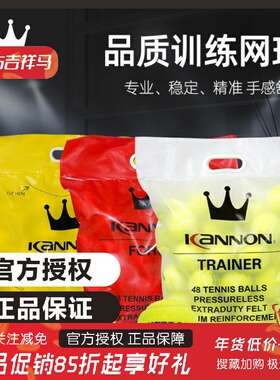 Kannon康龙网球K5K8K9高弹耐打初学者职业训练球男女比赛专用耐