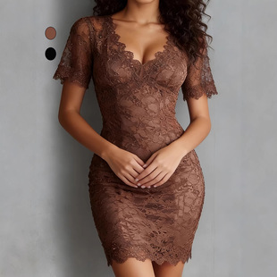 women sexy lace dress欧美新款性感V领蕾丝透视包臀裙连衣裙2026