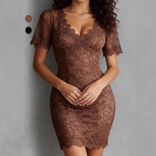 women sexy lace dress欧美新款性感V领蕾丝透视包臀裙连衣裙2026