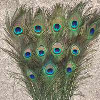 Natural real peacock feathers, big eyes, living room ornaments, vases, flower arrangements, diy accessories, peacock feathers thumbnail 2