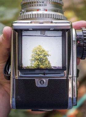 HASSELBLAD哈苏 500CM 503CX CXi CW 胶片相机 120胶卷相机905SWC