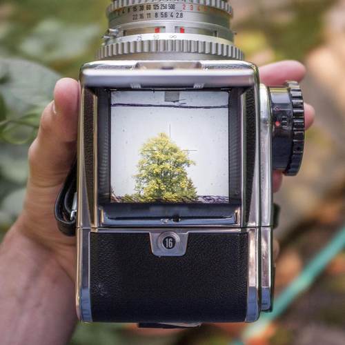 120中画幅500CM503CX胶片相机905