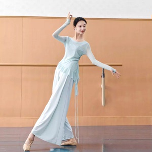 古典舞一字领飘逸斜角纱衣女中国舞身韵练功服形体训练上衣女