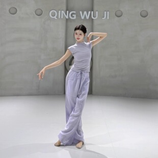 现代舞上衣古典舞练功服夏季中国舞服装女款新款立领时尚舞蹈衣服