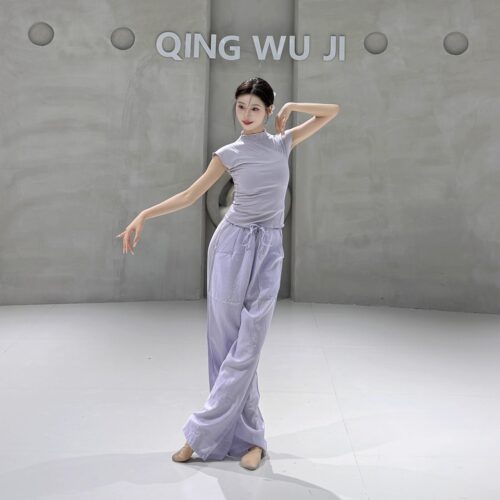 现代舞上衣古典舞练功服夏季中国舞服装女款新款立领时尚舞蹈衣服